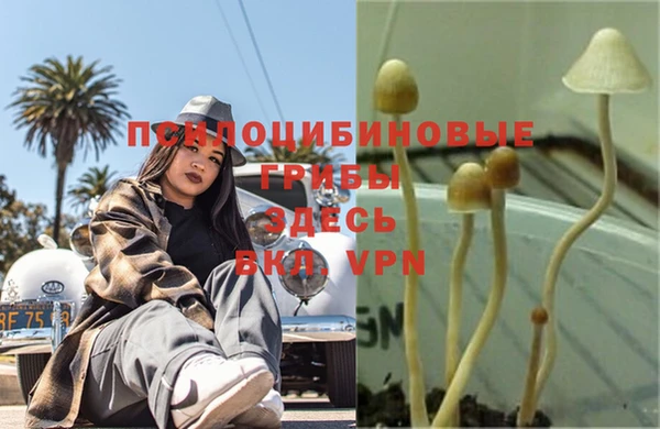 каннабис Яранск